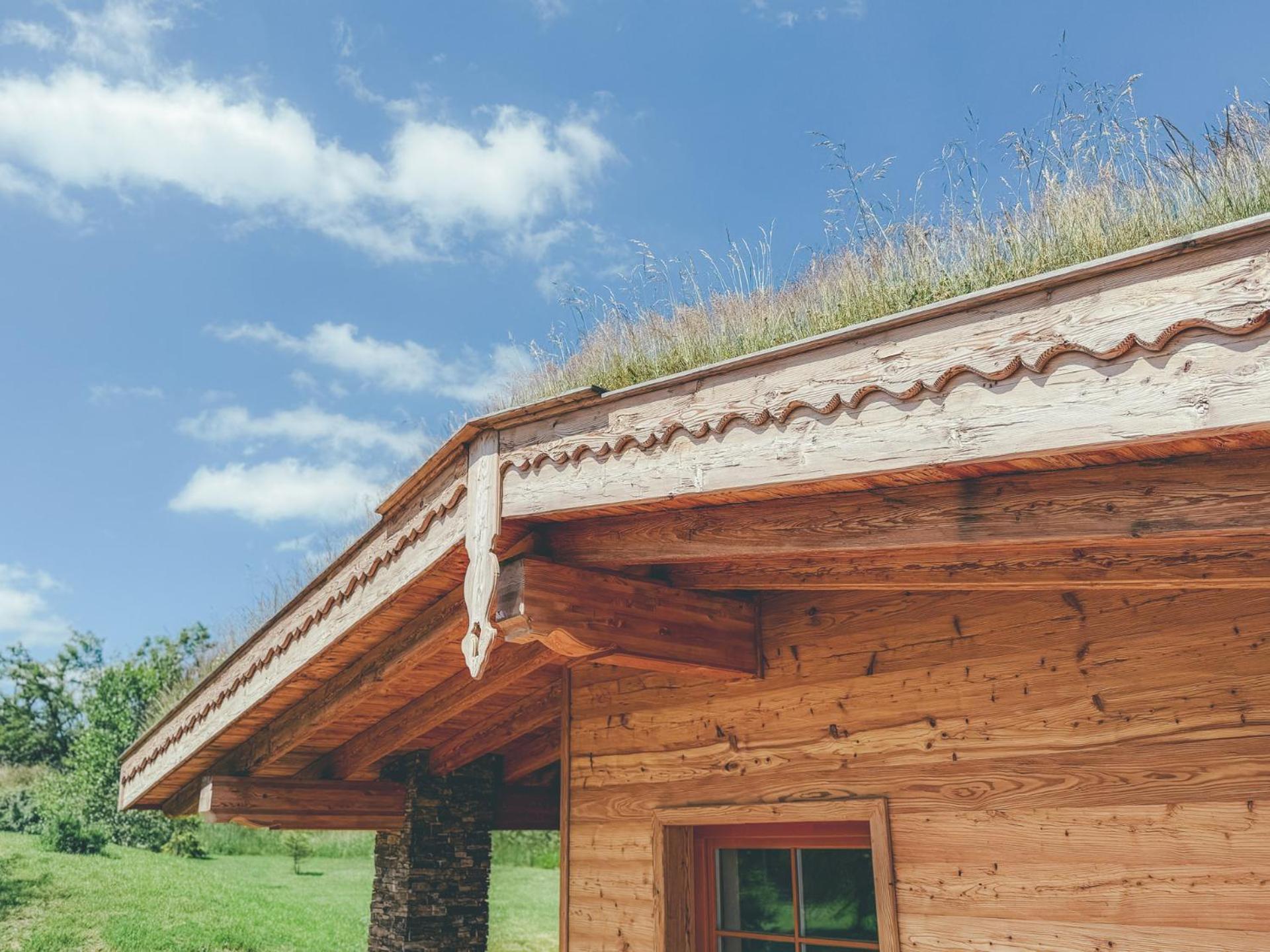 Chalets Resort Cinovec ภายนอก รูปภาพ